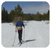 Skiing